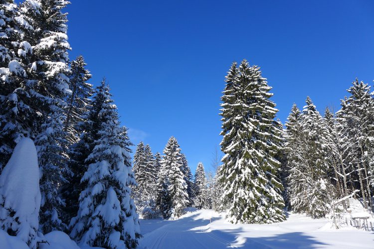 Les Breuleux