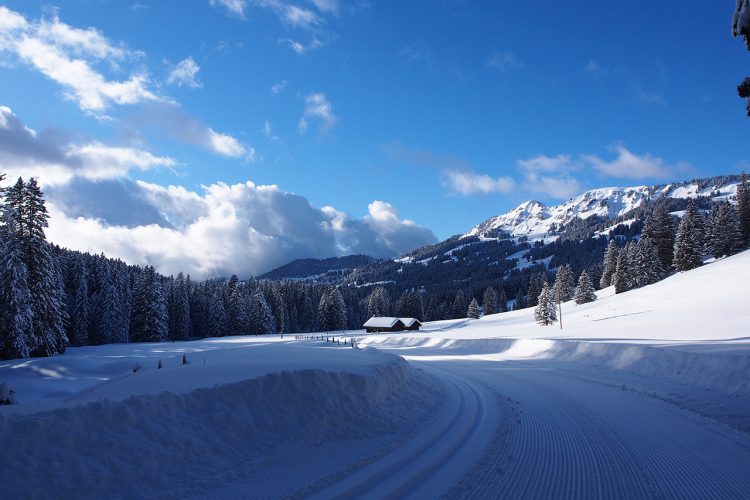 Villars / Gryon
