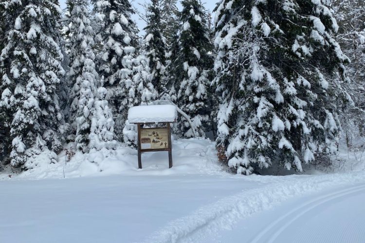 Les Grandes Roches / Le Brassus